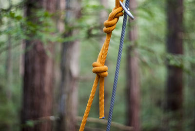 Close-up of rope tied on metal structure in forest