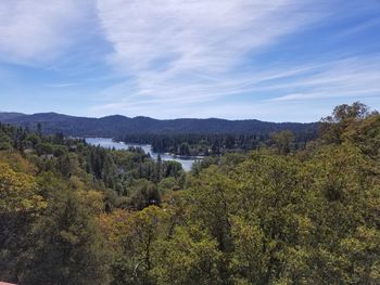 Scenic view of forest against sky