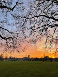 Scenic view of field against sky during sunset