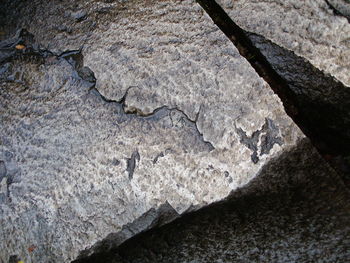 Close-up of rock