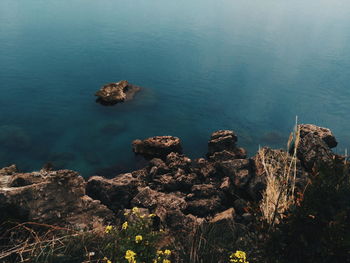 Rocks in sea