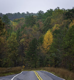 Road amidst trees in forest during autumn