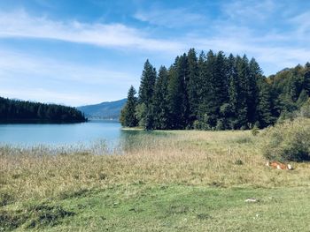 Scenic view of lake against sky