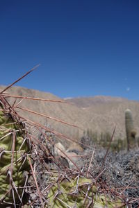 Scenic view of land against clear blue sky