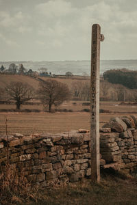 Scenic view of agricultural field