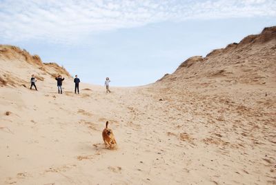 Dog running while hikers standing in background at desert