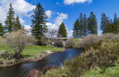 Scenic view of lake in forest against sky