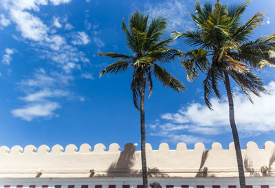 Low angle view of palm trees against cloudy sky