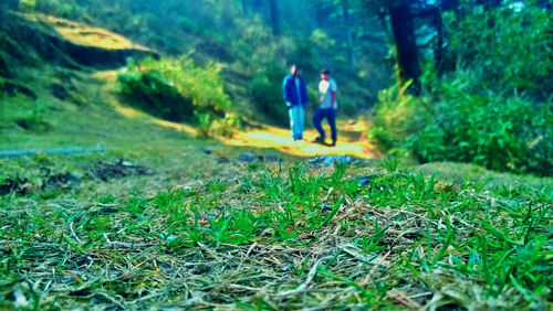 Full length of boy standing in forest
