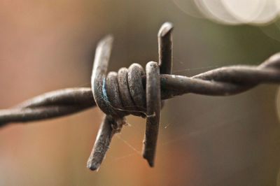 Barbed wire, rusty, sharp and dangerous metal wire.