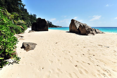 Rock formations on beach