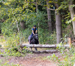 Woman riding horse jumping over obstacle on field at forest