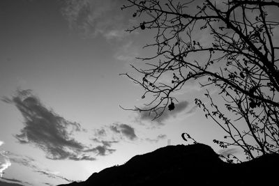 Low angle view of silhouette tree against sky at dusk