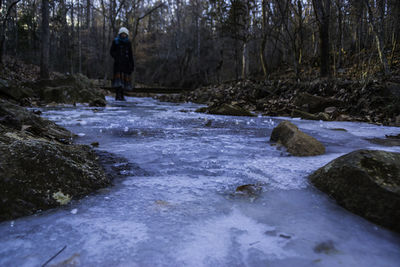 Man standing on rock by stream in forest