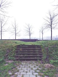 Empty bench on field by trees against sky