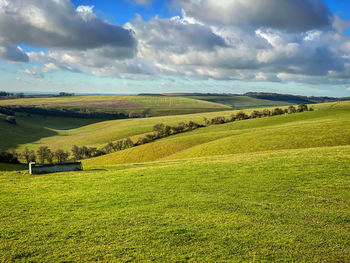 Scenic view of field against sky