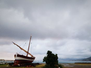 Cranes on beach against sky