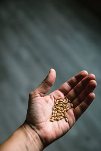 Close-up of man holding hand