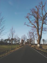 Country road along bare trees