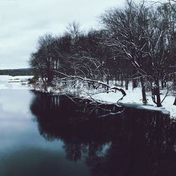 Reflection of trees in lake