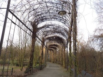 Empty footpath in park against sky