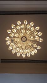 Low angle view of illuminated chandelier
