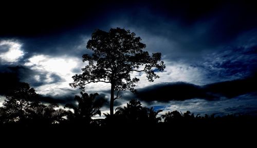 Low angle view of tree against cloudy sky