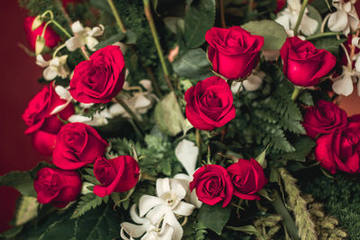 High angle view of red roses