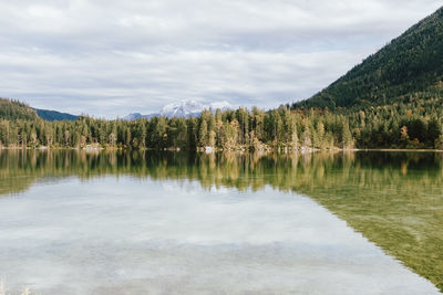Scenic view of lake in forest against sky