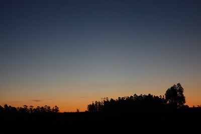 Silhouette trees against clear sky during sunset