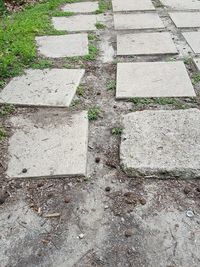 Close-up view of paving stone