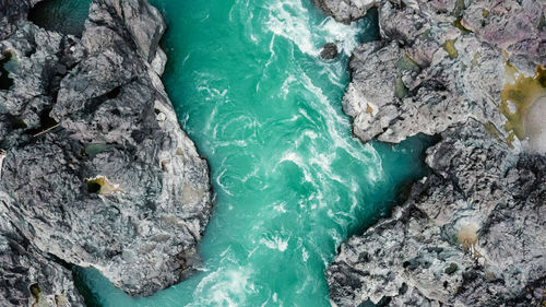 High angle view of a turtle in sea