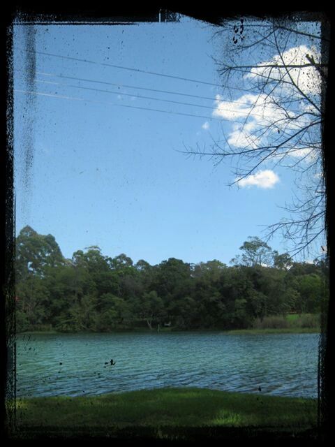 transfer print, water, tree, auto post production filter, lake, tranquil scene, sky, tranquility, scenics, beauty in nature, nature, river, branch, reflection, waterfront, day, outdoors, calm, no people, idyllic