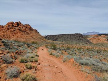 Red cliffs national conservation area on yellow knolls hiking trail southwest utah st. george