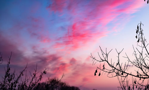 Low angle view of silhouette trees against sky at sunset