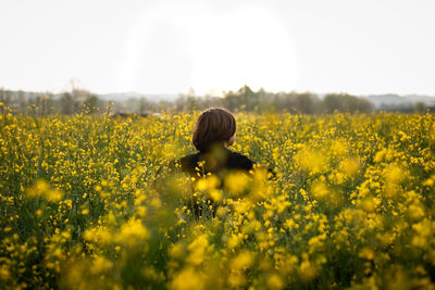 Walking away little child in the field with yellow flowers