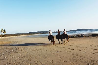 Man walking on sandy beach