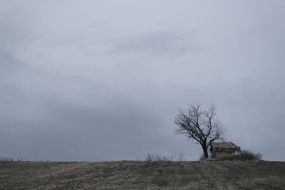 Bare tree on landscape against sky