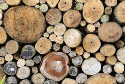 Full frame shot of logs