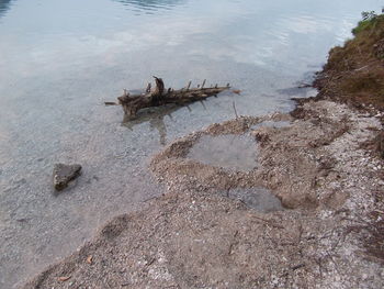 High angle view of crab on beach