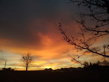 Silhouette bare tree against dramatic sky during sunset