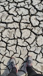 Low section of person standing on cracked land