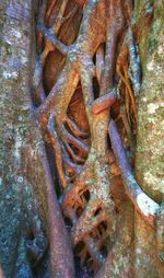 Close-up of rusty metal