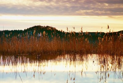 Beautiful autumn sunrise or sunset with reflection on lake water level. gentle waves and reeds.