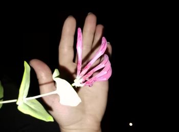 Close-up of hands over black background