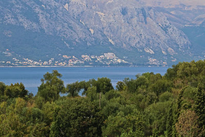 Scenic view of sea and trees against sky