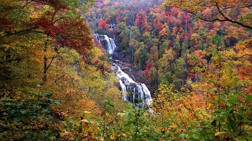 Waterfall in forest