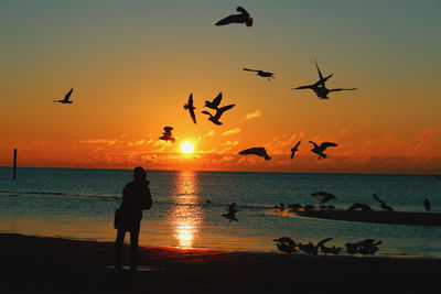 Silhouette people at beach during sunset