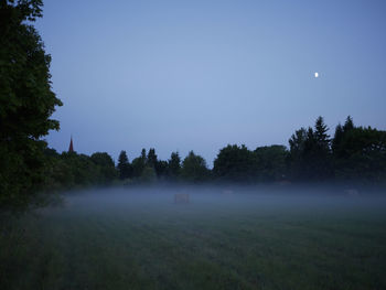 Trees on field against clear sky