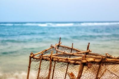 Wooden posts on beach 